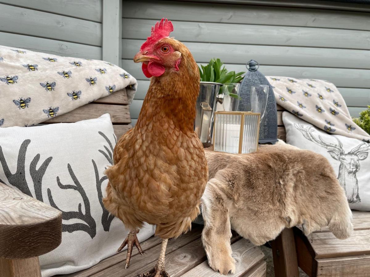 South Barlogan Farm Farm stay